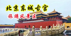 骚屄耐艹中国北京-东城古宫旅游风景区